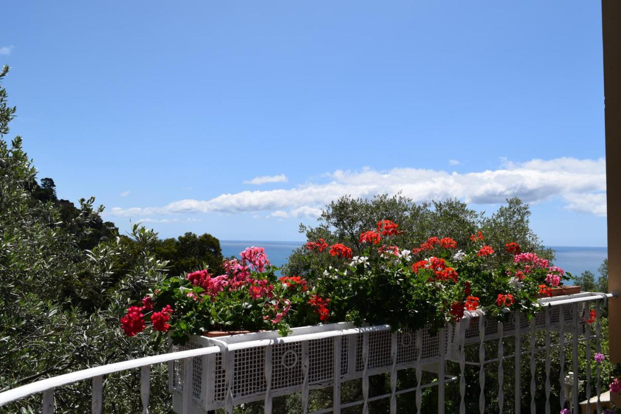 Villa Il Respiro Zoagli Buitenkant foto